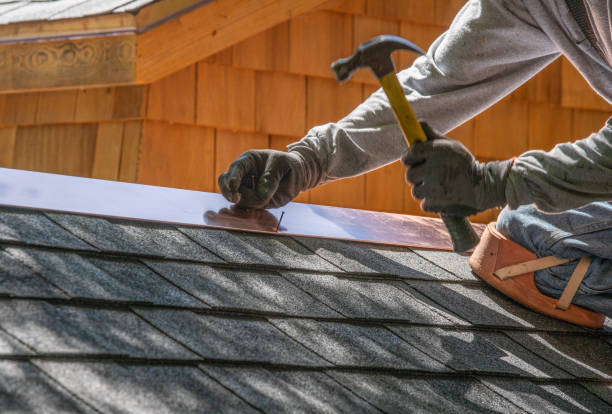 Best Skylight Installation and Repair  in Bremen, GA