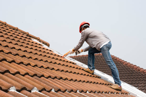 Best Solar Panel Roofing Installation  in Bremen, GA