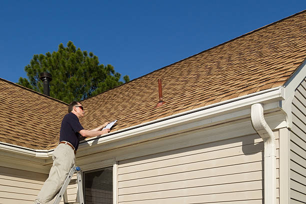 Best Roof Moss and Algae Removal  in Bremen, GA